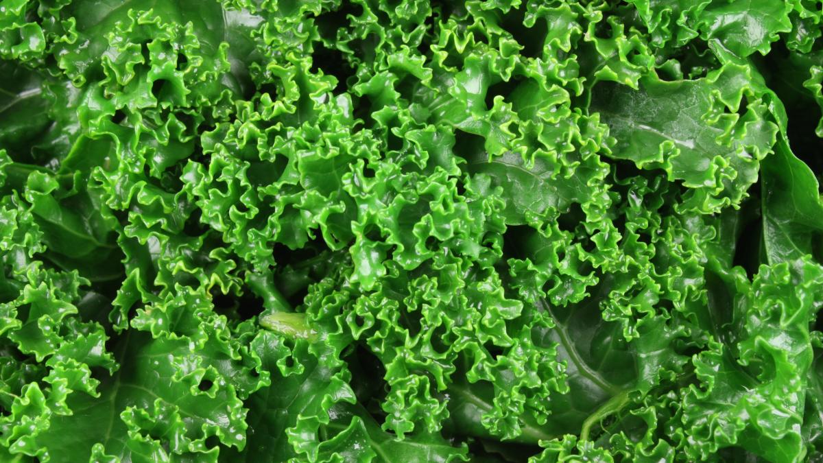 Vegan Nutrition Vegan calcium How to get it